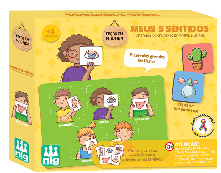Meus 5 sentidos