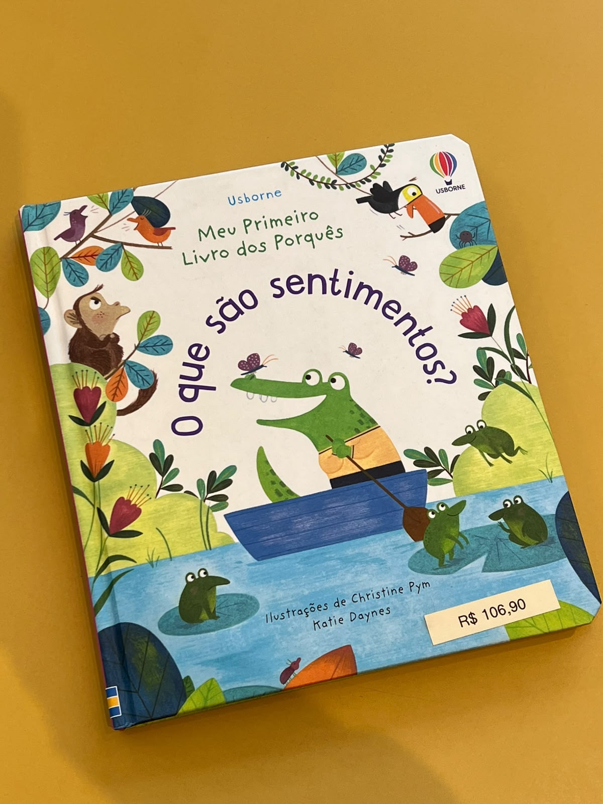 O que são sentimentos?